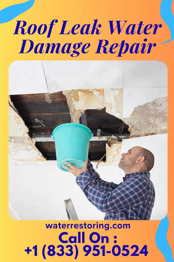 Roof Leak Water Damage Repair in Hoyt Lakes, MN