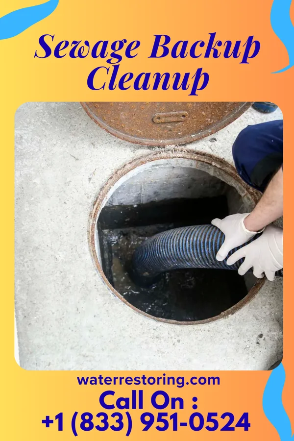 Sewage Backup Cleanup in Hoyt Lakes, MN