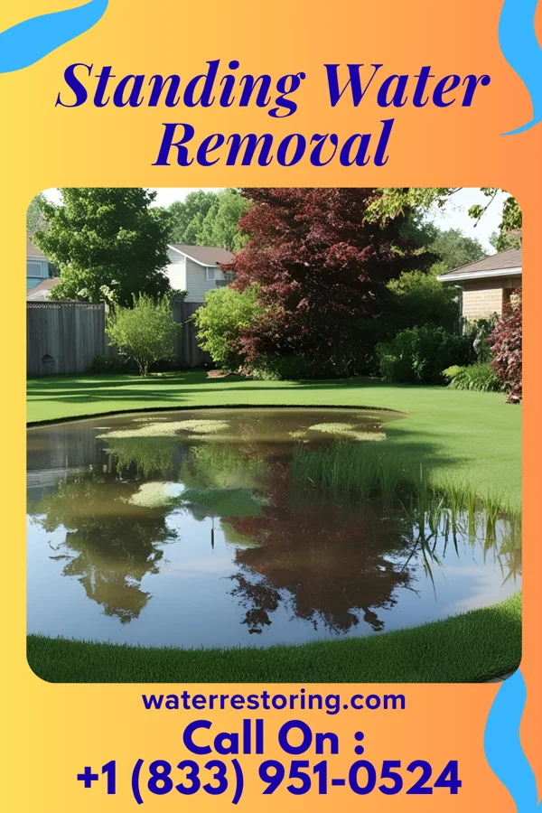 Standing Water Removal in Hoyt Lakes, MN
